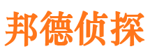 阜南市调查公司